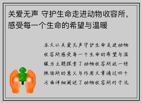 关爱无声 守护生命走进动物收容所，感受每一个生命的希望与温暖